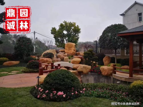 黄蜡石草坪汀步摆放观赏造景设计 景观鱼池围边驳岸点缀石材