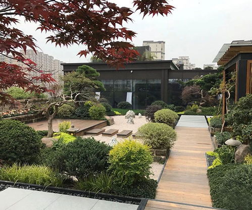 山东大道园林商家推荐 林地与湿地规划设计哪家好