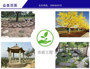 绿化 金碧园绿化 园林设计绿化