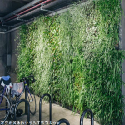箐禾园林 真植物墙 绿植装饰墙 绿植墙厂家直销